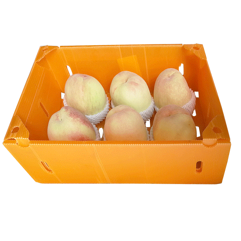 裝蔬菜水果的塑料中空板箱