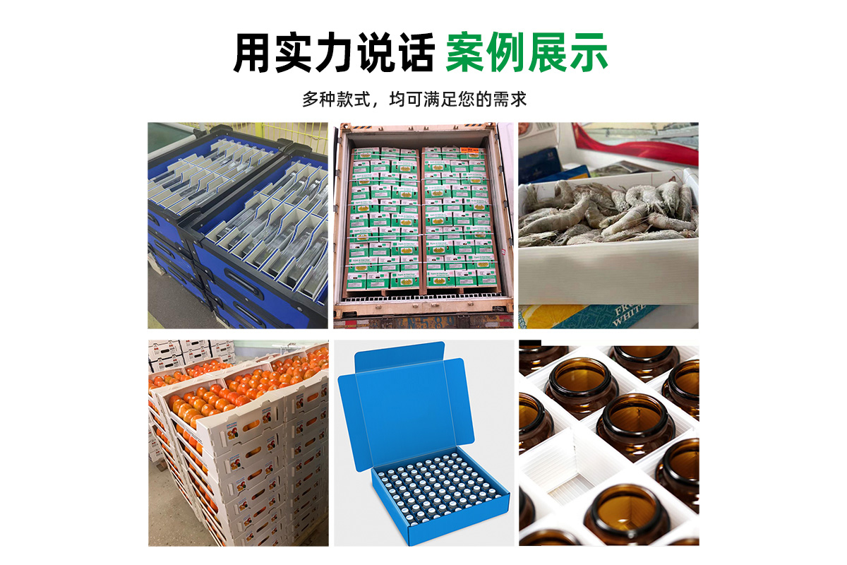 冷鏈中空板箱 可下冷庫 醫(yī)藥可用